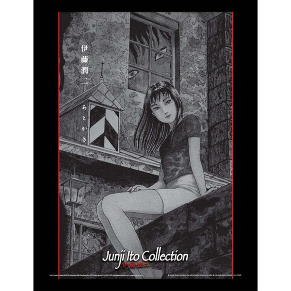 Junji-Ito The Painter Poster One Size Svart/Vit/Grå Black/White/Grey One Size