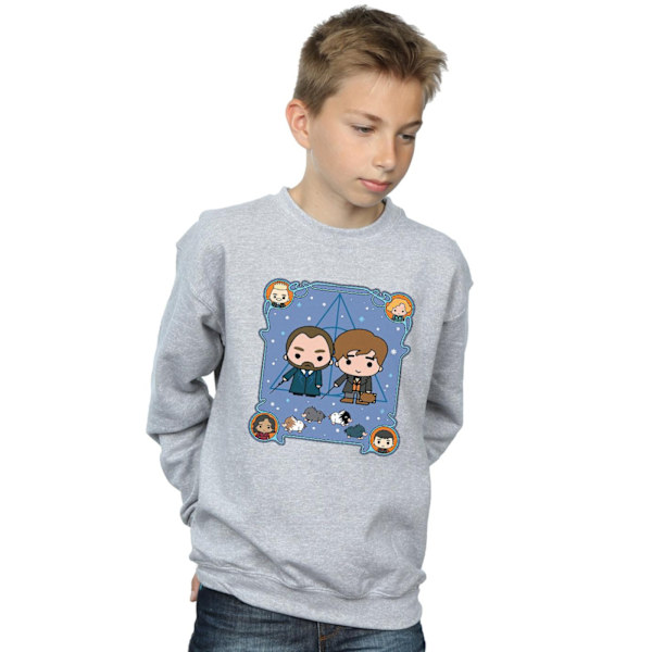 Fantastiska vidunder Boys Chibi Newt och Dumbledore Sweatshirt 7-8 Sports Grey 7-8 Years