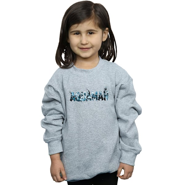 DC Comics Girls Aquaman Text Logo Sweatshirt 9-11 år Sport Sports Grey 9-11 Years