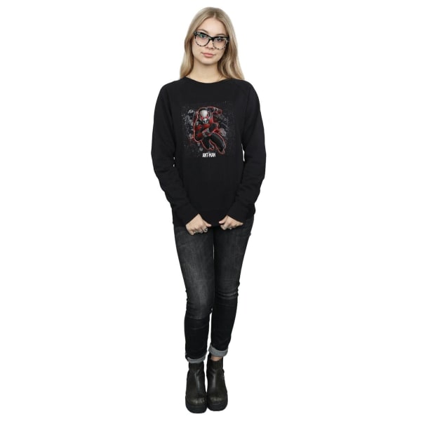 Marvel Dam/Dam Ant-Man Myror Running Sweatshirt M Svart Black M