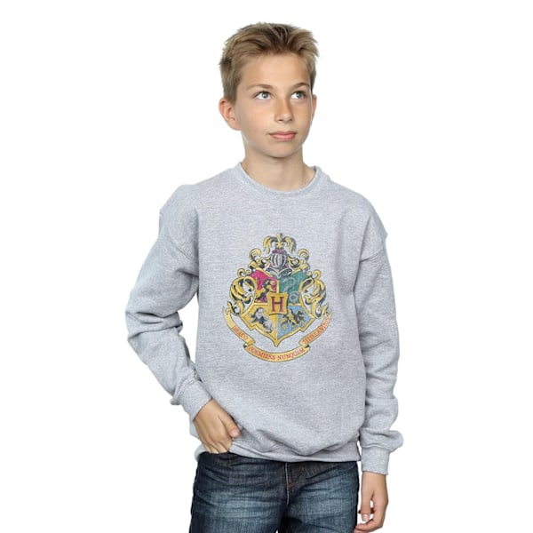 Harry Potter Pojkar Hogwarts Crest Sweatshirt 7-8 År Sports Grå Sports Grey 7-8 Years