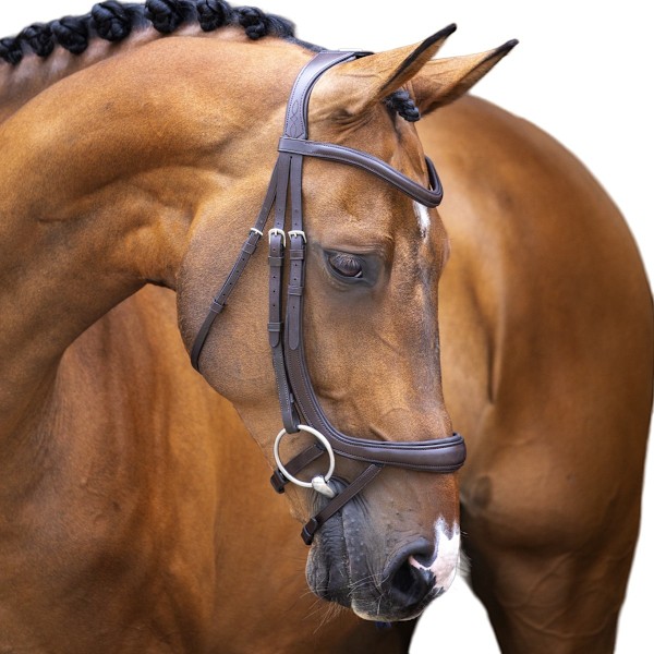 Velociti Lusso Curved Flash Läder Ergonomisk Häst Bridle Pony Havana Pony