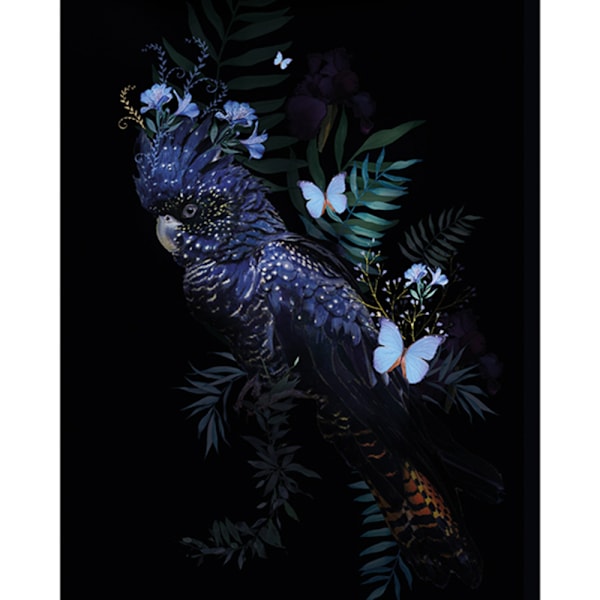 Summer Thornton Kakadua Poster 80cm x 60cm Multifärgad Multicoloured 80cm x 60cm