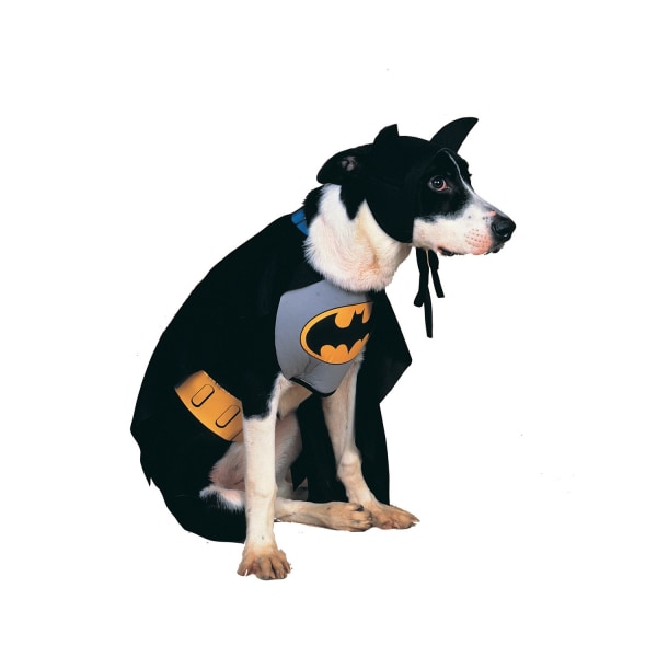 Batman Dog Costume L Svart/Gul Black/Yellow L