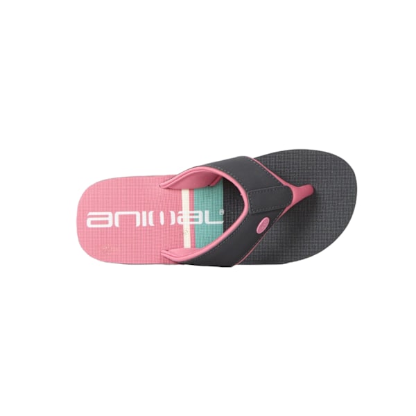 Animal Dam/Kvinnor Swish Kontrast Återvunnet Flip Flops 9 UK Ch Charcoal 9 UK