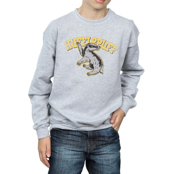 Harry Potter Pojkar Hufflepuff Sport Emblem Sweatshirt 7-8 År Sports Grey 7-8 Years