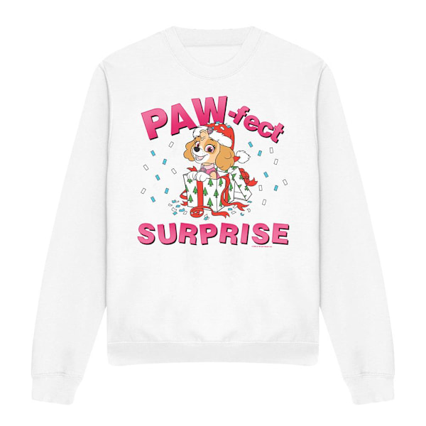Paw Patrol Unisex Vuxen Den Paw-Fekta Julklappen Skye Tröjor White L