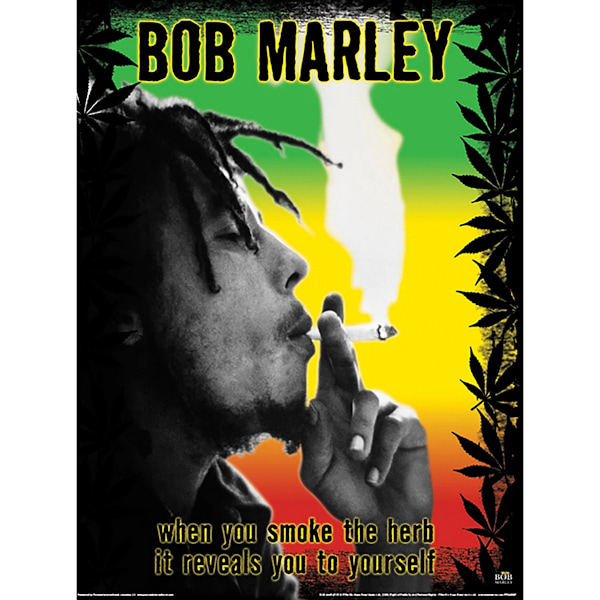 Bob Marley Örttryck 40cm x 30cm Flerfärgad Multicoloured 40cm x 30cm