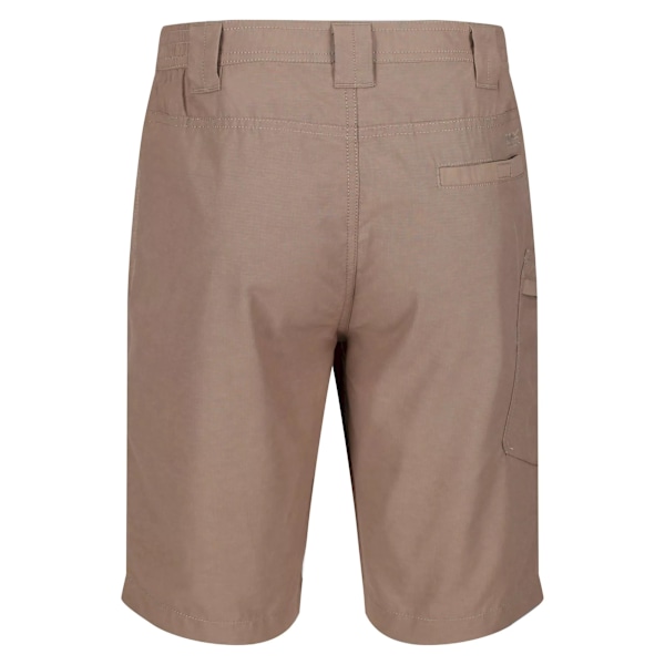 Regatta Delgado Shorts 30R Gold Sand för män Gold Sand 30R