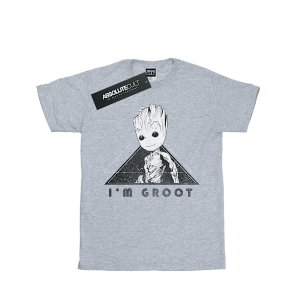 Marvel Girls Guardians Of The Galaxy Vol. 2 Groot Mono Triangle Sports Grey 12-13 Years