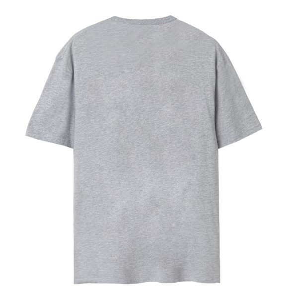 Pusheen Dam/Kvinnor Glass Kortärmad T-shirt XL Grå M Grey Marl XL