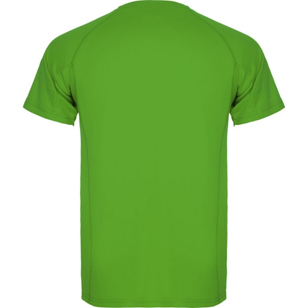 Roly Montecarlo T-shirt för män, kortärmad, sport, L, Fern Green Fern Green L