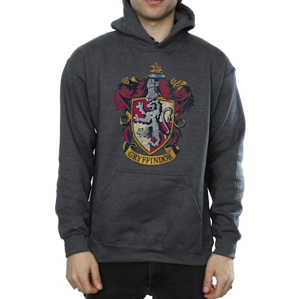 Harry Potter Herr Gryffindor Hoodie XXL Mörkgrå Dark Heather XXL