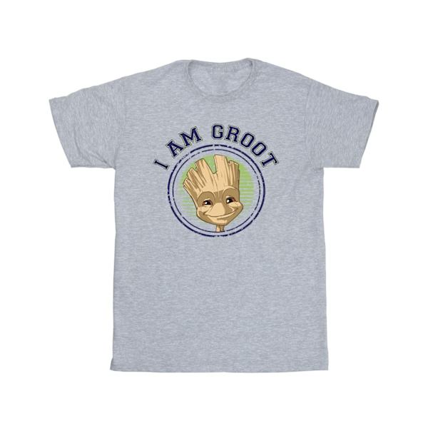 Guardians Of The Galaxy Girls Groot Varsity Bomull T-shirt 12-1 Sports Grey 12-13 Years