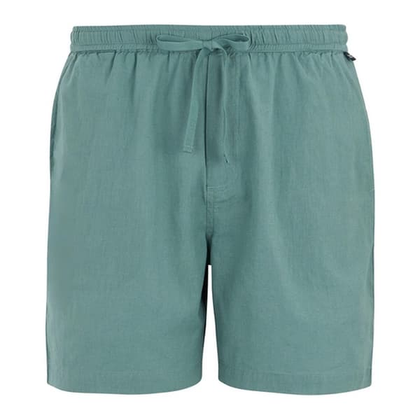 Regatta Hadlin Shorts för män M Arctic Arctic M