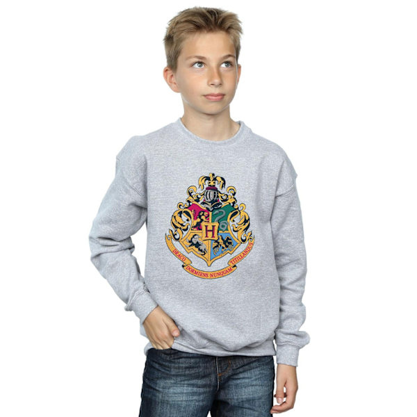 Harry Potter Pojkar Hogwarts Crest Guld Bläck Sweatshirt 5-6 År Sports Grey 5-6 Years