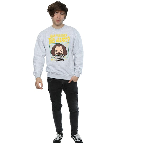 Harry Potter Mens Sirius Black Azkaban Junior Sweatshirt S Spor Sports Grey S