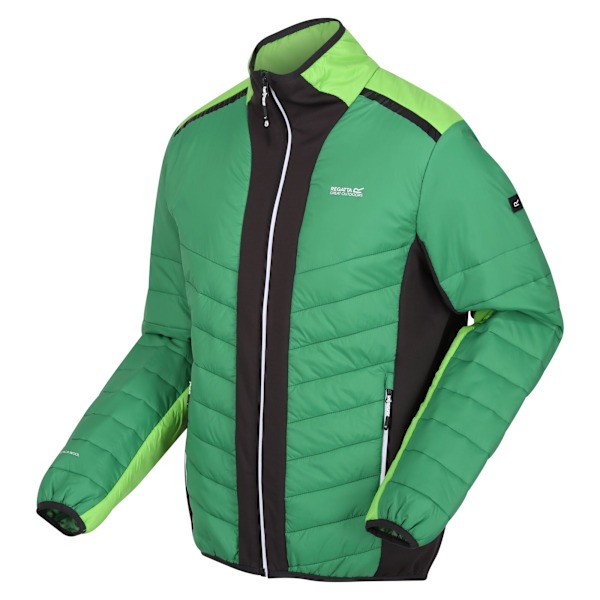 Regatta Herr Halton VII Kontrastpanel Baffled Vadderad Jacka 3X Field Green/Jasmine Green 3XL