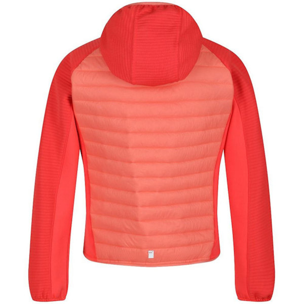 Regatta Barn/Barn Kielder V Hybrid Isolerad Jacka 5-6 År Fusion Coral/Neon Peach Fusion Coral/Neon Peach 5-6 Years