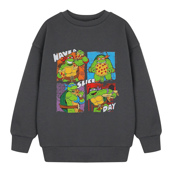 Teenage Mutant Ninja Turtles Pojkar Har En Skiva Dag Tröja 7 Charcoal 7-8 Years
