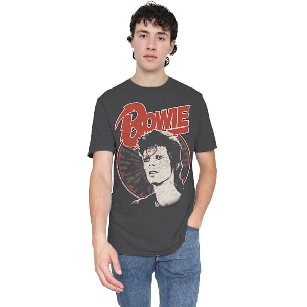 David Bowie Unisex Vuxen Space Oddity T-Shirt XL Kolgrå Charcoal XL