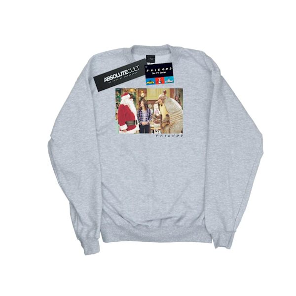 Friends Herr The Holiday Armadillo Sweatshirt 4XL Sports Grey Sports Grey 4XL