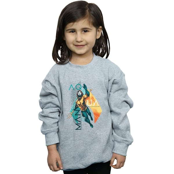 DC Comics Girls Aquaman Tropical Icon Sweatshirt 5-6 år Spor Sports Grey 5-6 Years