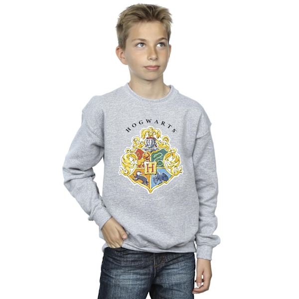 Harry Potter Pojkar Hogwarts Skolemblem Sweatshirt 3-4 År S Sports Grey 3-4 Years