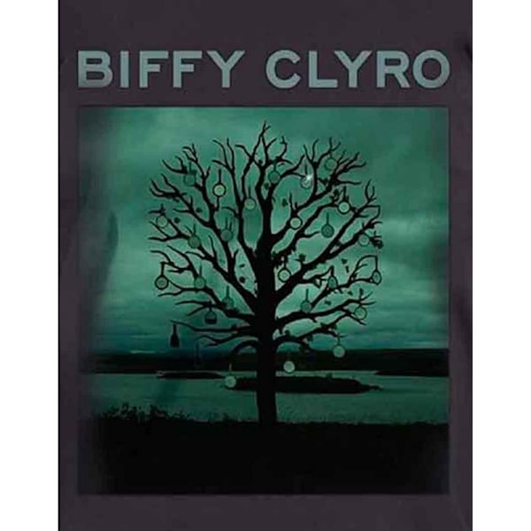 Biffy Clyro Unisex Vuxen Chandelier Bomulls T-shirt L Svart Black L