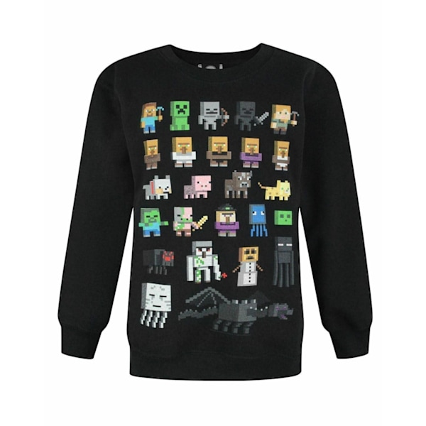 Minecraft Boys Sprites Sweatshirt 12-13 år Svart Black 12-13 Years