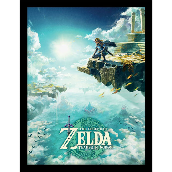 The Legend Of Zelda Tears Of The Kingdom Hyrule Skies Inramad Po Blue/White 40cm x 30cm