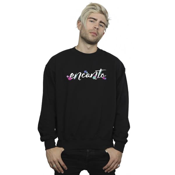 Disney Encanto Logo Sweatshirt S Svart Black S