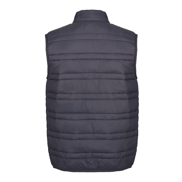Regatta Professional Vadderad Kroppsvärmare för Män L Seal Grå/Svart Seal Grey/Black L