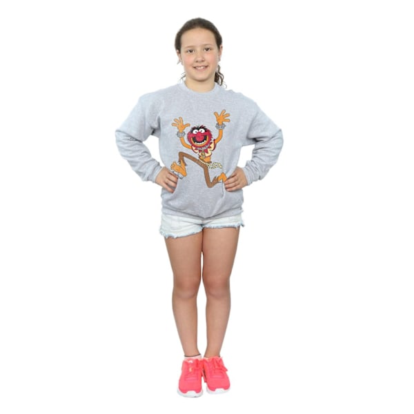 Disney Girls The Muppets Classic Animal Sweatshirt 9-11 år S Sports Grey 9-11 Years