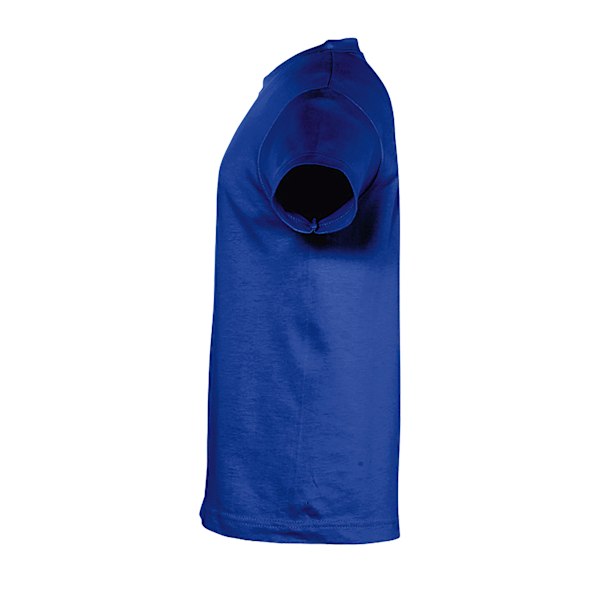 SOLS Kids Regent Kortärmad T-shirt 12 år Royal Blue Royal Blue 12yrs