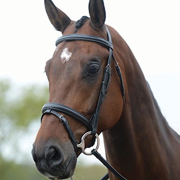 Kincade Läder Flash Bridle II Warmblood Svart Black Warmblood