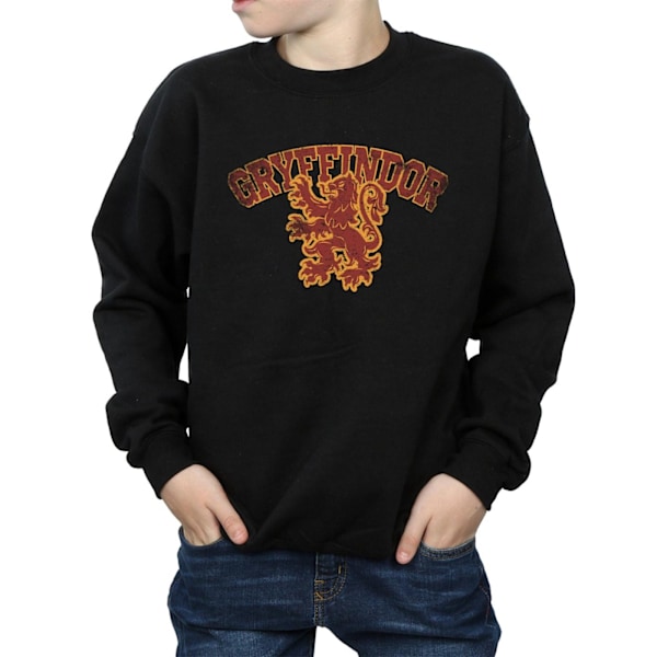Harry Potter Pojkar Gryffindor Sport Emblem Sweatshirt 7-8 År Black 7-8 Years