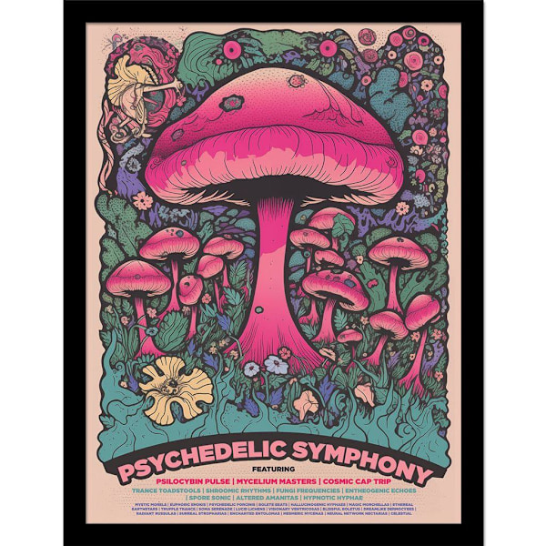 Ada Ingram Psychedelic Symphony Festival inramad affisch 40cm x 3 Multicoloured 40cm x 30cm
