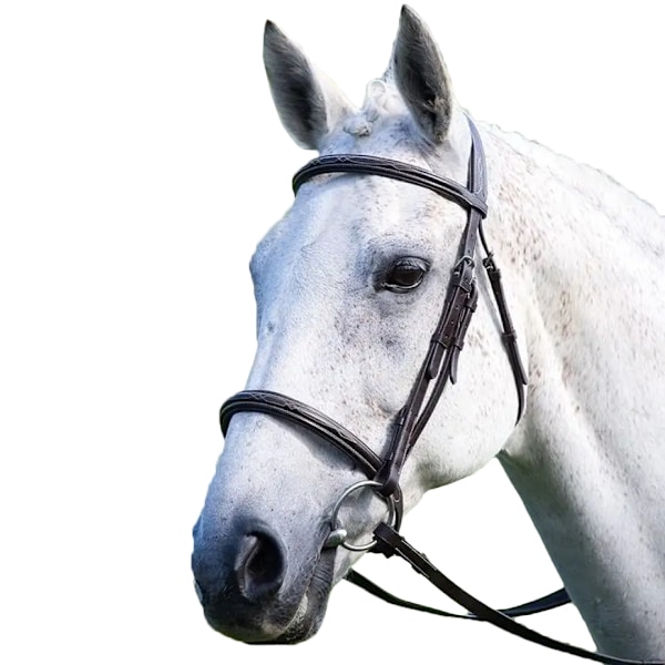 Avignon Vadderad Läder Häst Cavesson Nosgrimma Ponny Svart Black Pony