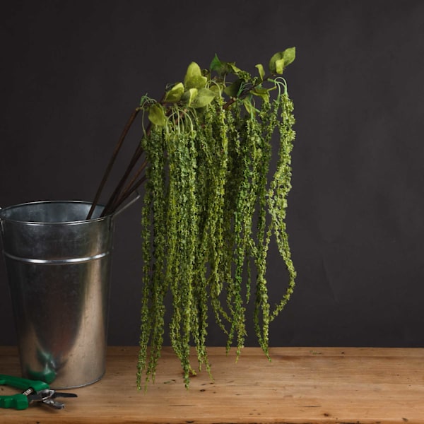 Hill Interiors Faux Amaranthus 1m Grön Green 1m