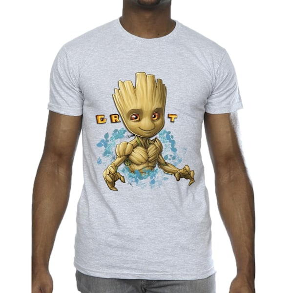 Guardians Of The Galaxy Herr Groot Blommor T-shirt 3XL Sports G Sports Grey 3XL