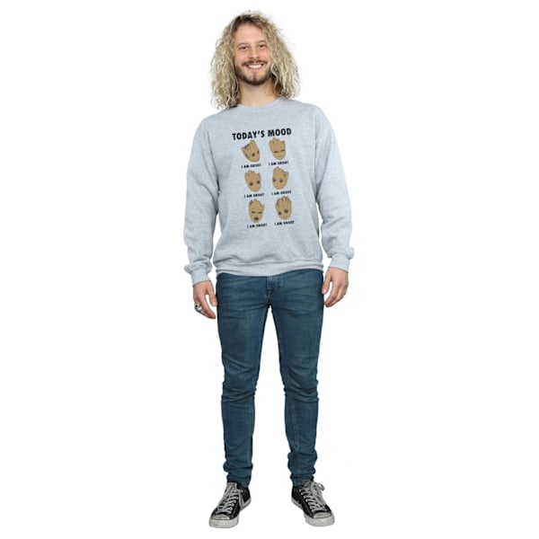 Marvel Herr Guardians Of The Galaxy Groot Today´s Mood Sweatshirt Sports Grey M