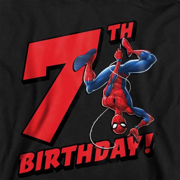 Spider-Man Barn/Kids Pull Over 7:e Födelsedagshuvtröja 7-8 År Black 7-8 Years