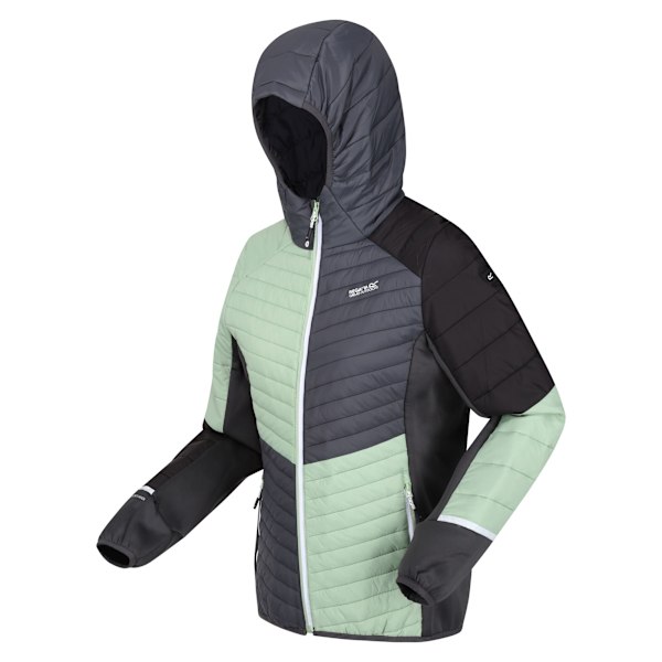 Regatta Dam/Kvinnor Trutton II Baffled Hooded Jacka 12 UK Qu Quiet Green/Seal Grey 12 UK