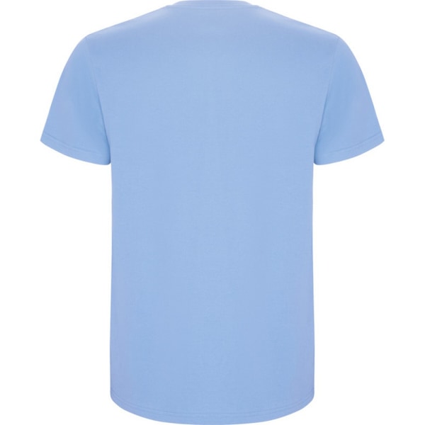 Roly Barn/Barn Stafford T-shirt med korta ärmar 5-6 år Sky Sky Blue 5-6 Years