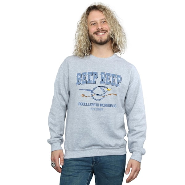 Looney Tunes Mens Road Runner Beep Beep Sweatshirt 3XL Sports G Sports Grey 3XL