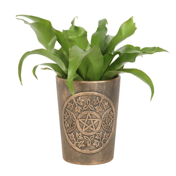 Lisa Parker Triple Moon Terrakotta Blomkruka En Storlek Brons Bronze One Size