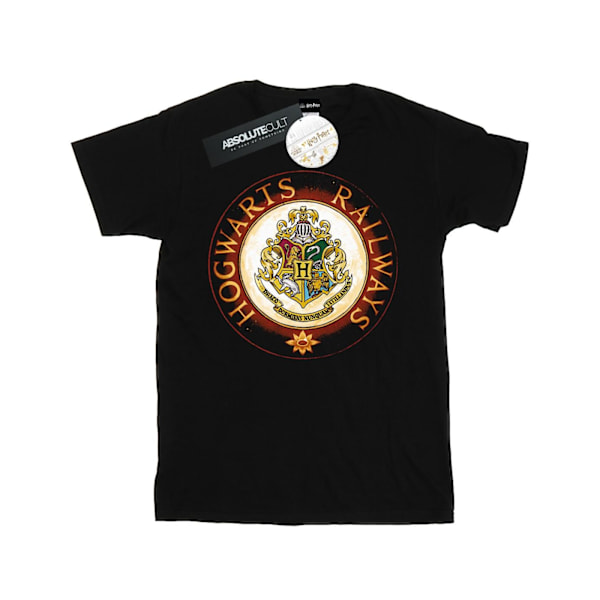 Harry Potter Boys Hogwarts Rail T-Shirt 3-4 år Svart Black 3-4 Years