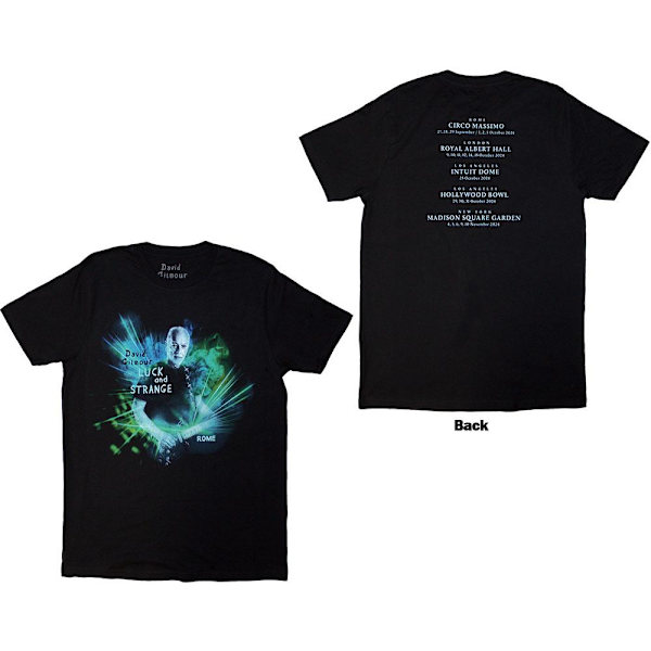 David Gilmour Unisex Vuxen Luck & Strange Rom Ryggtryck T-shirt Black M
