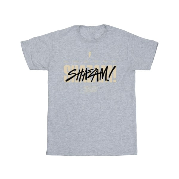 DC Comics Mens Shazam Fury Of The Gods Vandalized Logo T-Shirt Sports Grey 3XL